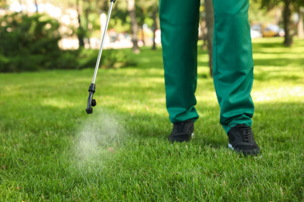 Insect Control in Clarksville, VA