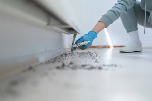 Best Affordable Pest Control Services  in Clarksville, VA